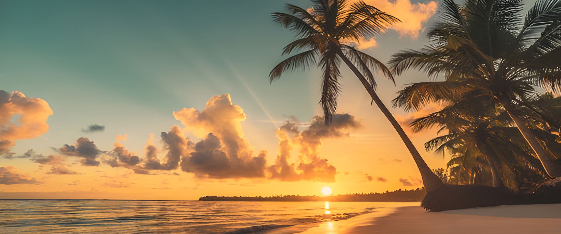 Clearwater north to New Port Richey